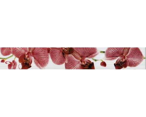 267081 Fiori орхидея / Бордюр настенный / 6х40 см